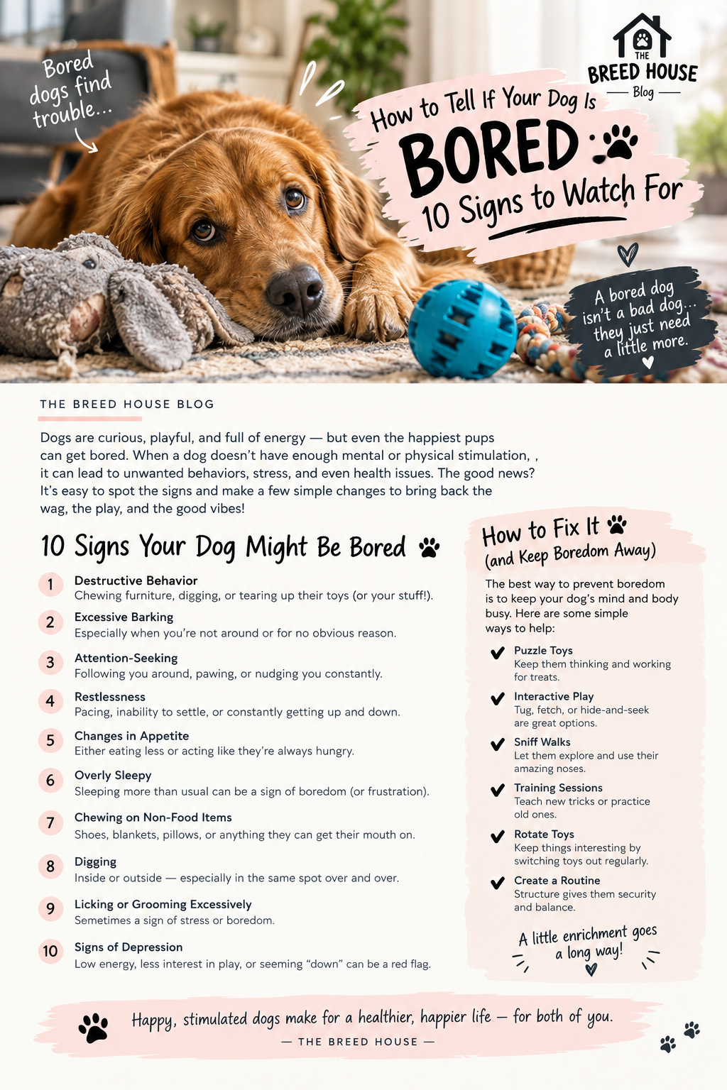 How to Tell If Your Dog Is BORED: 10 Signs to Watch For & Easy Solutions