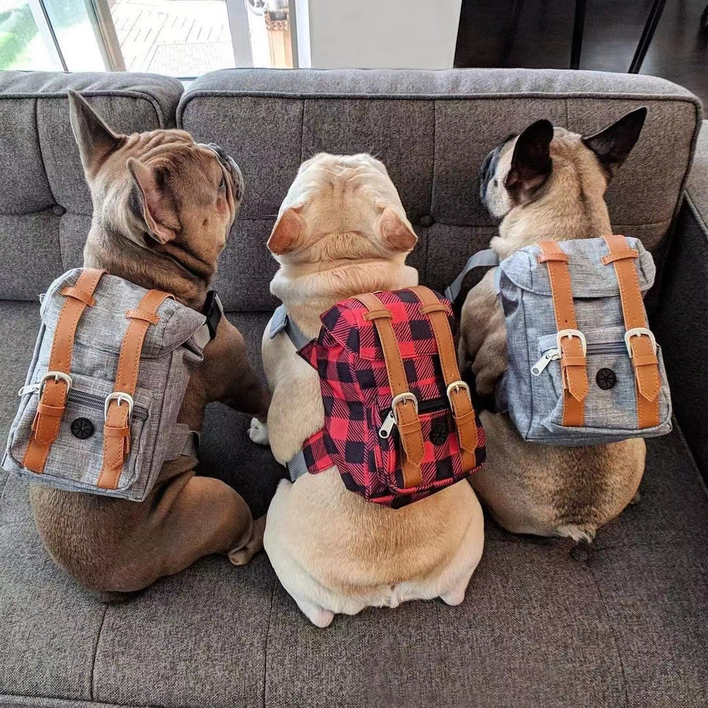 Dog backpack, Pet small schoolbag with straps
