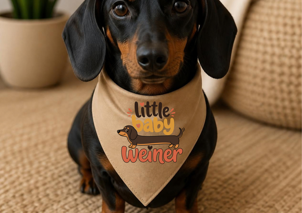 Dachshund Pet Bandana — "Little Baby Weiner" Cute Sausage Dog Bandana for Puppies & Small Dogs