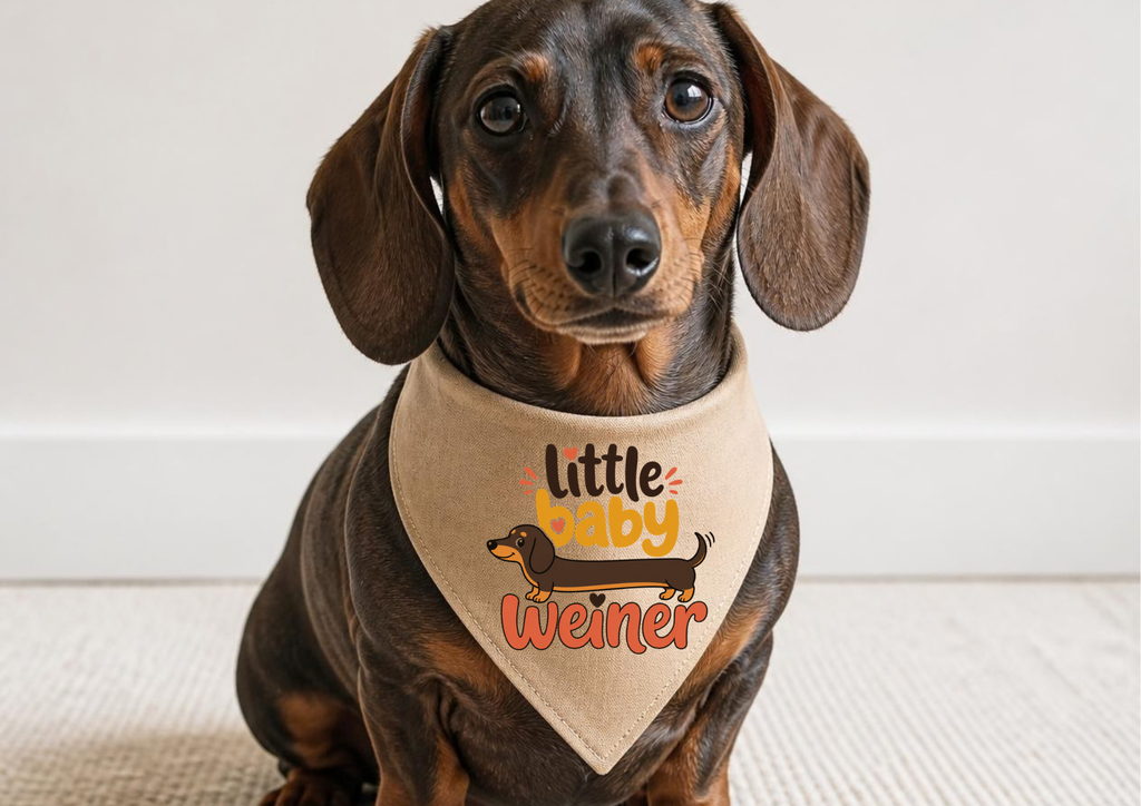 Dachshund Pet Bandana — "Little Baby Weiner" Cute Sausage Dog Bandana for Puppies & Small Dogs