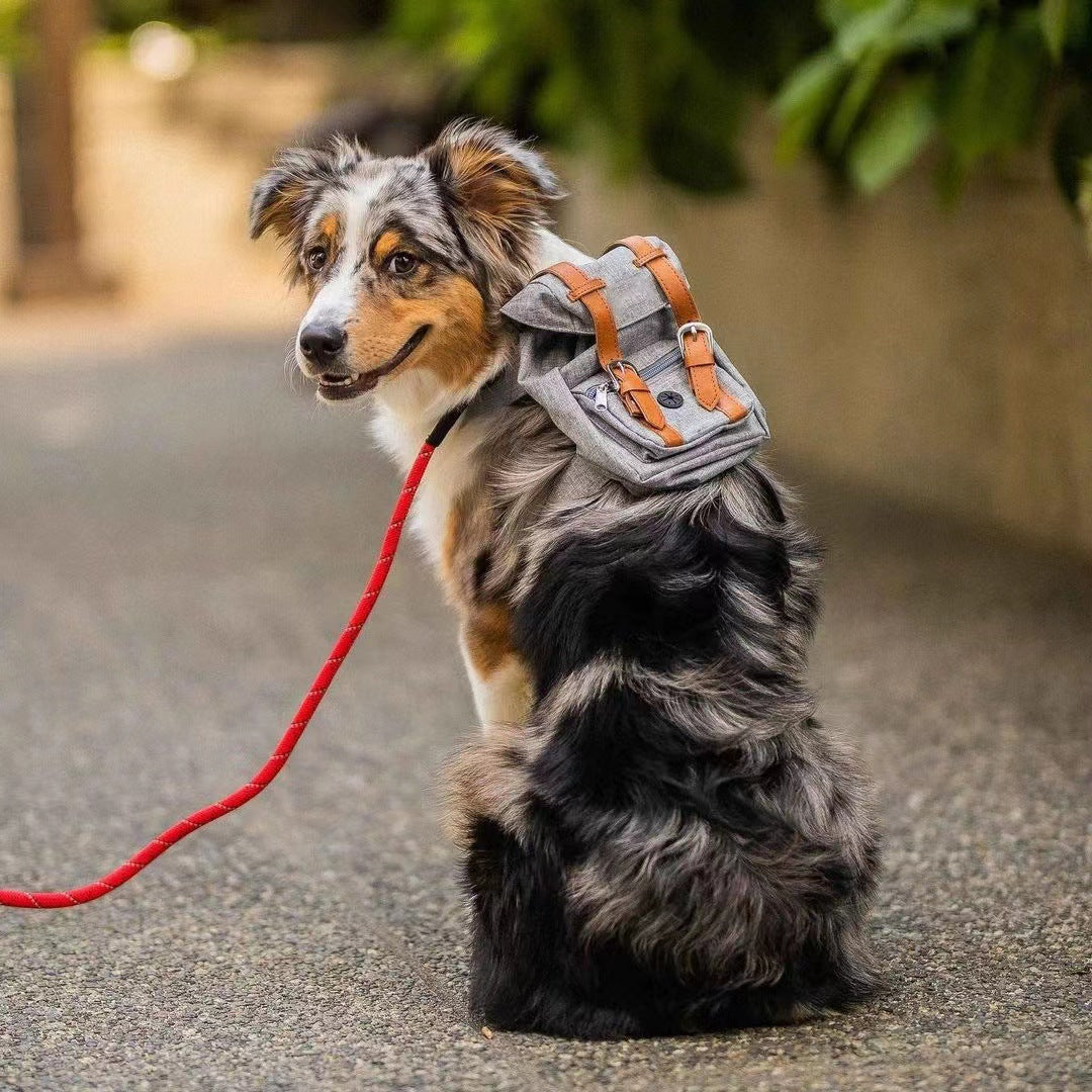 Dog backpack, Pet small schoolbag with straps