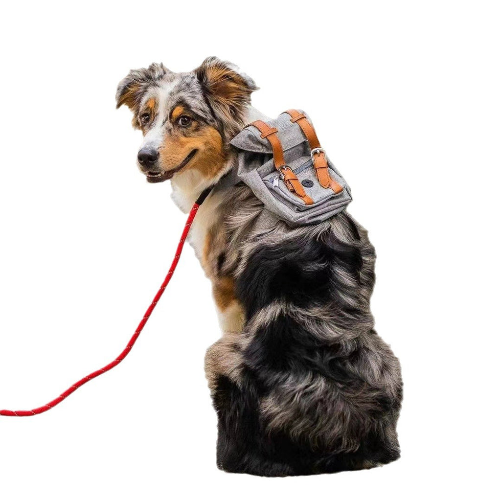 Dog backpack, Pet small schoolbag with straps