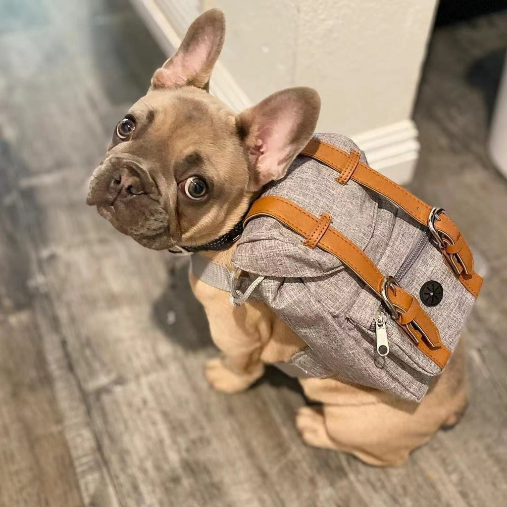 Dog backpack, Pet small schoolbag with straps