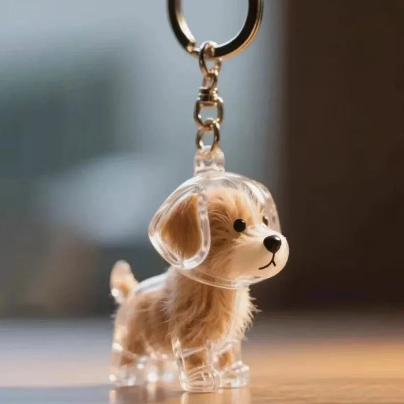 Dog-shaped keychain with clear plastic enclosure on a blurred background
