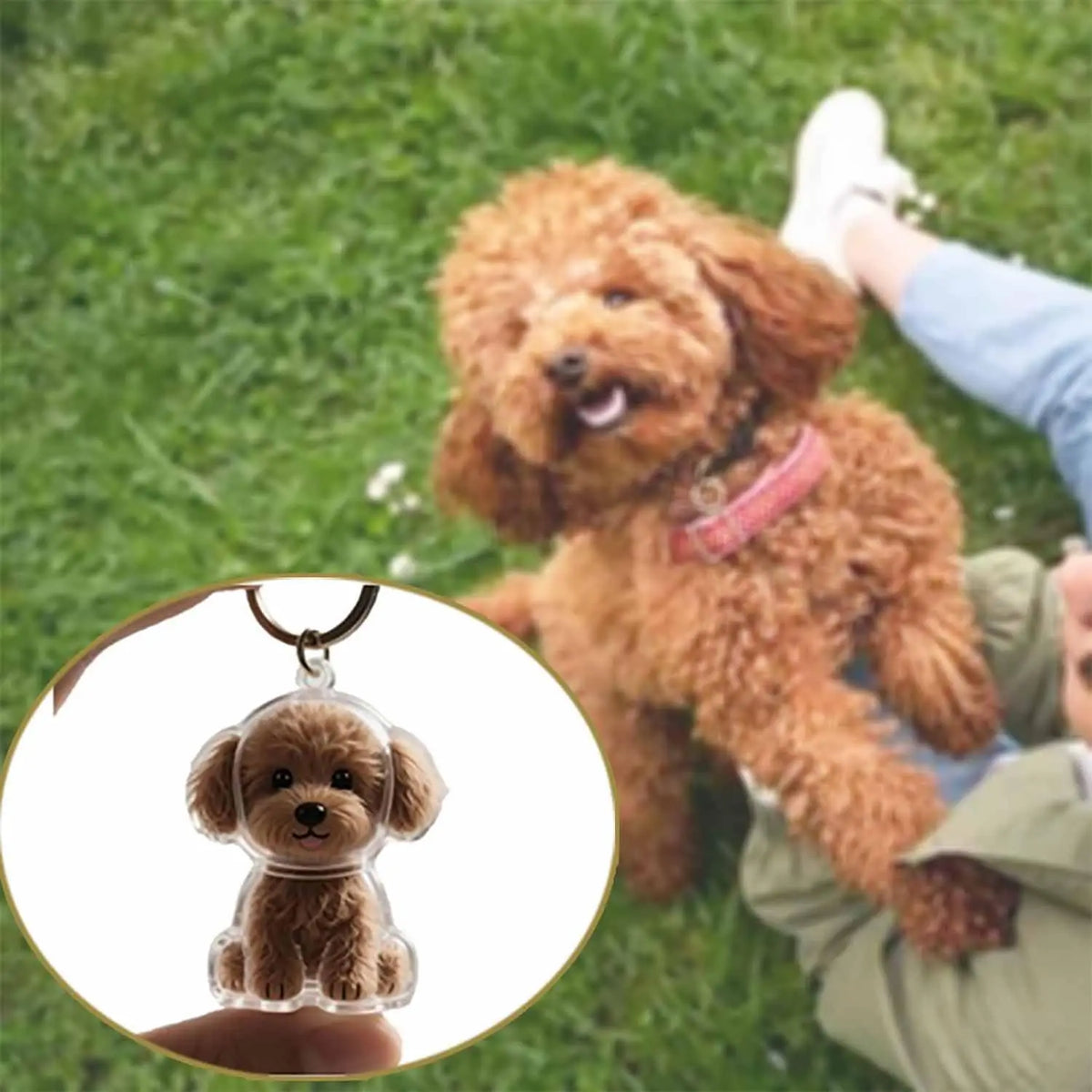 Brown dog with a pink collar sitting on grass next to a person, with a close-up of a dog-shaped keychain.