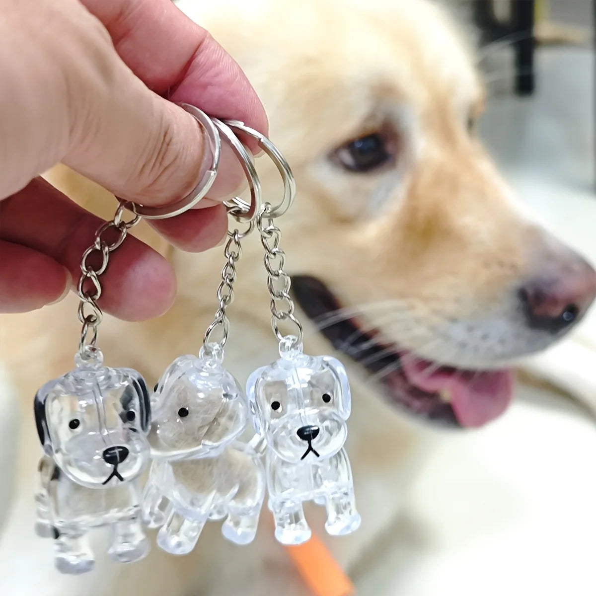 Clear dog-shaped keychains held by a hand with a dog in the background